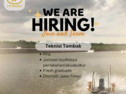 CP Prima Butuh Teknisi Tambak