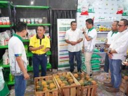 Petrokimia Gresik Luncurkan Program Kampung Makmur Komoditas Nanas
