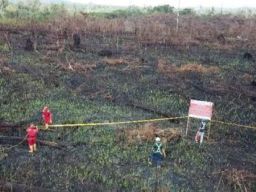 Gakkum KLHK Segel 18 Lokasi Karhutla