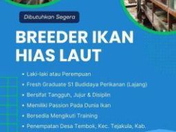 PT Dinar Darum Lestari Membutukan Breeder Ikan Hias Laut