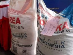 Polresta Cirebon Ungkap Kasus Penyalahgunaan Pupuk Bersubsidi