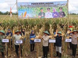 Penyerahan Hibah Kompetitif Program YESS dan Panen Jagung