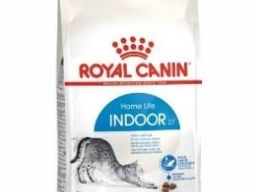 Royal Canin: 5 Rahasia Agar Anabul Tetap Sehat dan Bahagia