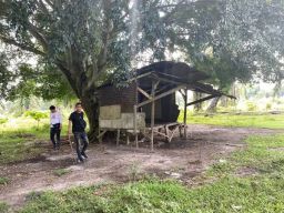 Satresnarkoba Polres Simalungun Grebek Empat Lokasi