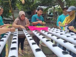 Tim Universitas Wijaya Putra Menginisiasi Program Urban Farming di Desa Cagakagung