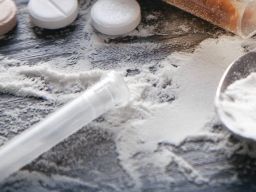 Bea Cukai dan Polri Temukan 188 Kg Sabu di Kebun Sawit