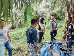 Polsek NA IX-X Gerebek Sarang Narkoba di Perladangan Sawit