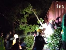 Angin Kencang, Pohon Besar Tumbang Timpa Truk Kontainer di Magetan