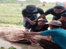 Warga Desa Jeruk Porot Tewas Kesamber Petir