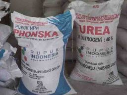 Warga Desa Sudah Selewengkan Pupuk Subsidi dari Lamongan