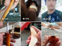 Jual Aksesoris dari Kulit Harimau dan Gading Gajah, Warga Desa Gadung Divonis 3 Tahun Penjara