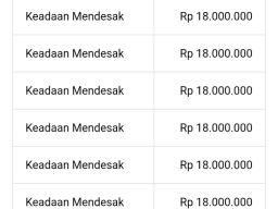 Penyaluran Anggaran Dana Desa Randuboto Tahun 2024