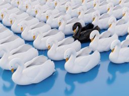 Black Swan Effect