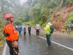 Jalur Arah Cemoro Sewu Ditutup karena Pohon Tumbang