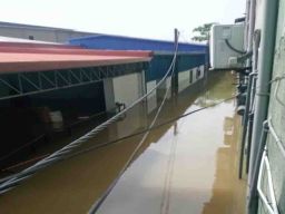 Kisah Pahit Founder Blue Fish Ceylon Saat Pabriknya Terendam Banjir