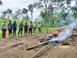 Polsek Singosari Gagal Menangkap Pemain Sabung Ayam di Desa Dengkol