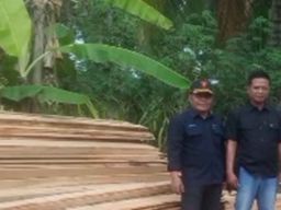 M Zaenal Abidin Tebang Kayu Jati Tanpa Izin di Pesanggaran Banyuwangi