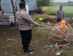 Polsek Tulangan Bongkar Gelanggang Sabung Ayam di Desa Kepadangan