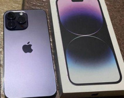 Denis Oktavian Jual Inventaris CV Sinar Indo Persada Tanpa Izin