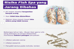 Risiko Fish Spa yang Jarang Dibahas