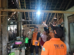 Lebih 80 Persen Wilayah Pacitan Terdampak Gempa Tektonik M 6,2
