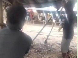 Arena Sabung Ayam Beroperasi di Desa Karangduren Jember