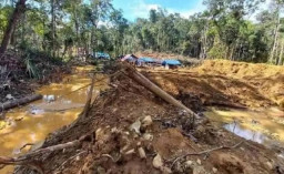 Peringatan Keras Bagi Pelaku Tambang Ilegal di Papua