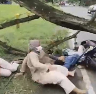 Hampir Lebaran, Pemotor Tewas Tertimpa Pohon Tumbang di Magetan