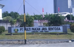 Staff Procurement PT Multi Pakan Jaya Sentosa Mark Up Harga Pembelian