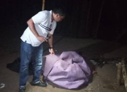 Insiden Tragis Saat Grebekan Arena Sabung Ayam, 1 Orang Tewas