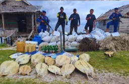 Polres Bangkep Amankan 2 Ton Bambu Laut