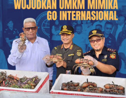 Kepiting Karaka Mimika Tembus Pasar Malaysia dan Singapura