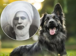 Kisah Syaikhona Kholil Mengirim Surat untuk Seekor Anjing Hitam