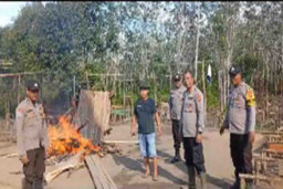 Polsek Tempunak Bongkar Arena Sabung Ayam di Desa Suka Jaya