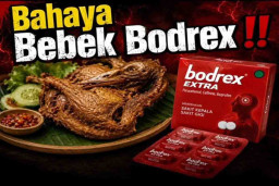Bahaya Bebek Dimasak dengan Bodrex