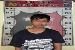Polsek Muara Jawa Ungkap Peredaran Narkotika Jenis Ganja