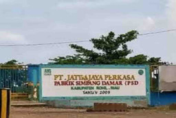 KLHK Segera Tuntaskan Eksekusi Putusan Perdata Karhutla PT Jatim Jaya Perkasa