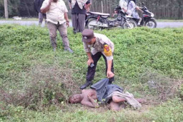 Penemuan Mayat Misterius di Pinggir Jalan Perbatasan Limbong