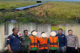 Gakkum KLHK Tangkap Bos Perambah Kawasan Hutan SM Padang Sugihan