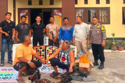 Polsek Kempo Gerebek Sarang Judi Sabung Ayam dan Bola Guling