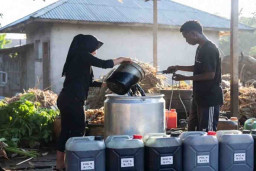 Bikin Pupuk Organik dengan Kadar Nitrogen Setinggi Urea