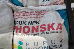Pedagang Pupuk Subsidi Ilegal di Tosari Pasuruan Divonis 1 Tahun Penjara