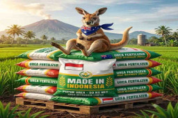 47 Ribu Ton Pupuk Urea dari Indonesia Dieksporke Australia