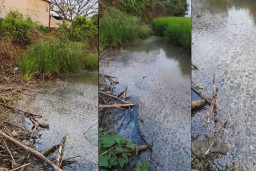 Penggilingan Plastik di Cerme Gresik Terindikasi Cemari Sawah dan Tambak