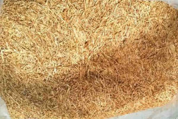 Penipuan Jual Beli Tembakau di Malang, Rachman Yuda Rugi Rp 255 Juta