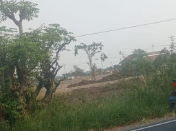 Tanah Urug di Desa Tambak Beras Gresik Berasal dari Galian C Ilegal