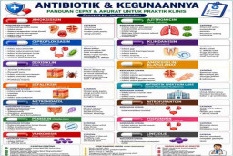 Pembunuh Bayaran Elit Bernama Antibiotik