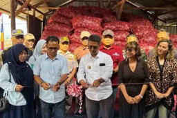 PT Moro Maju Sejahtera Ekspor Kopra 26 Ton ke Malaysia
