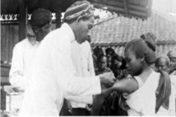 Kisah Penyakit Kuning yang Bersembunyi Di Balik Sejarah Kolonial Indonesia.