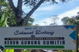 Tebang Pohon Milik PTPN I Jember, Dafin dan Beisuni Dipenjara 10 Bulan